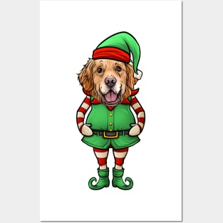 Golden Retriever Christmas Elf Posters and Art